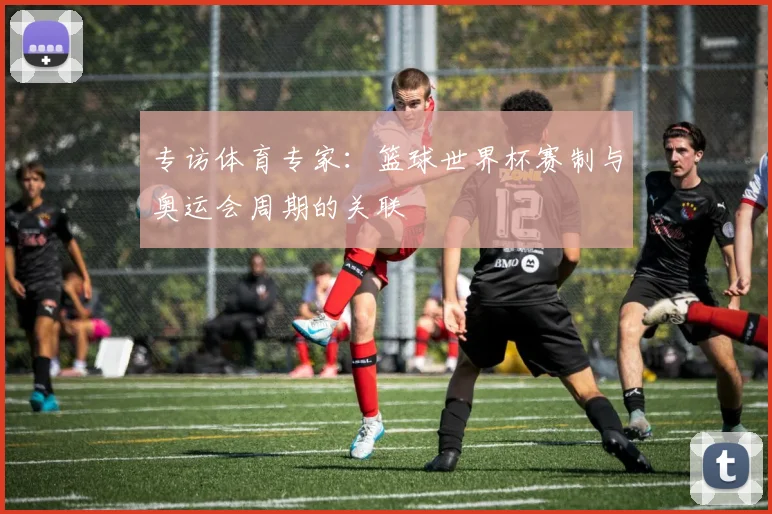 专访体育专家：篮球世界杯赛制与奥运会周期的关联