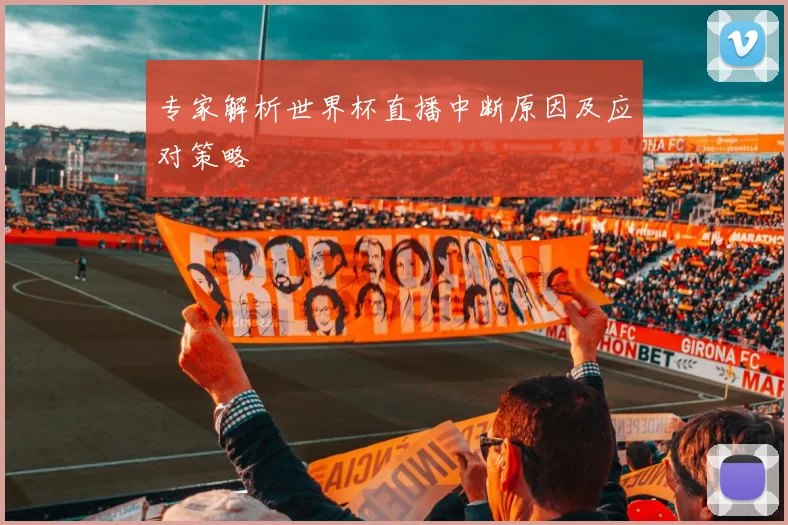 专家解析世界杯直播中断原因及应对策略