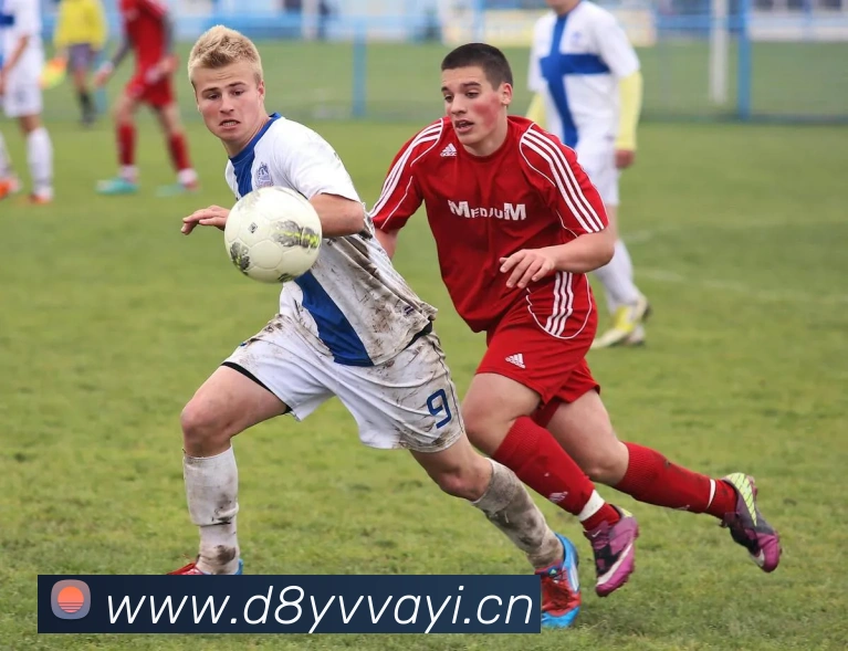 星空体育综合链接APP 封面图