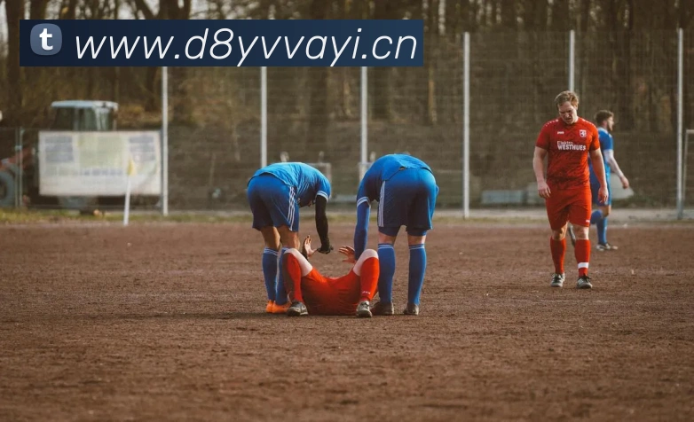 登录器